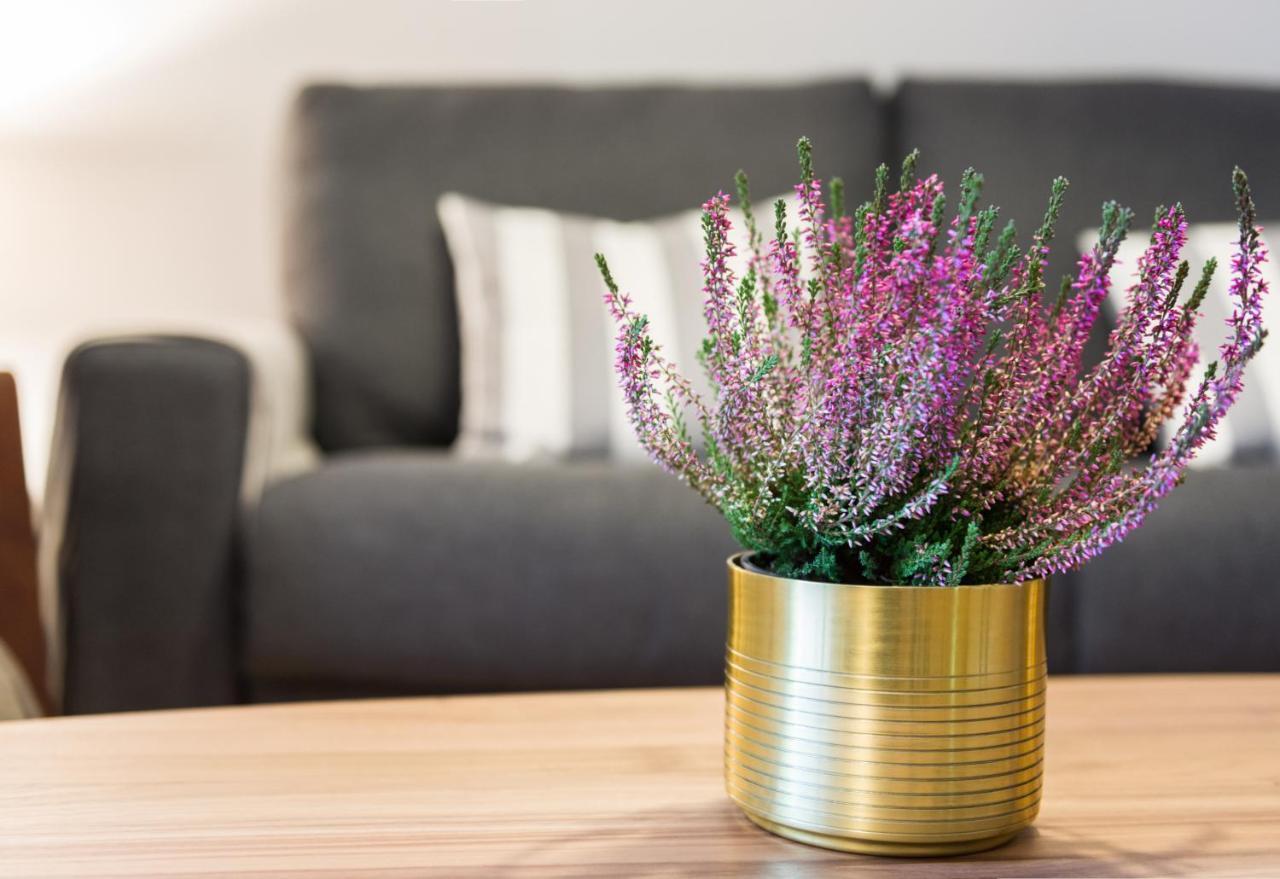 La Casa Gris Apartment Tudela Ngoại thất bức ảnh